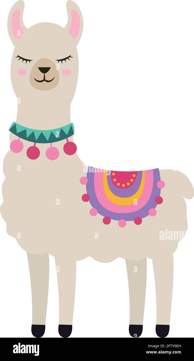 funny llama clothes isolated style Stock Vector Image & Art - Alamy