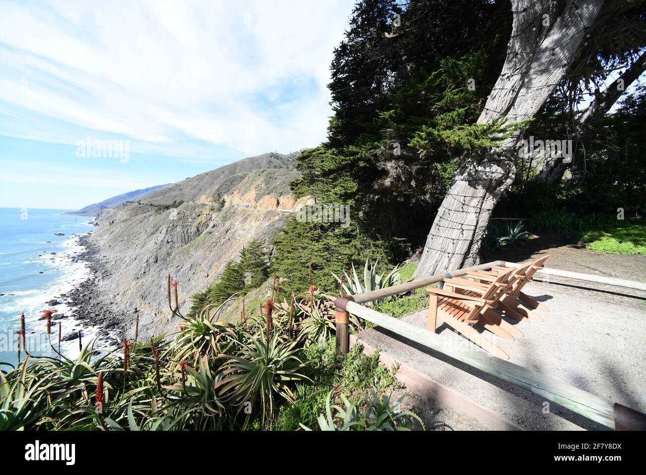 Agave and Aloe plants, California central coast. Photo by Jennifer