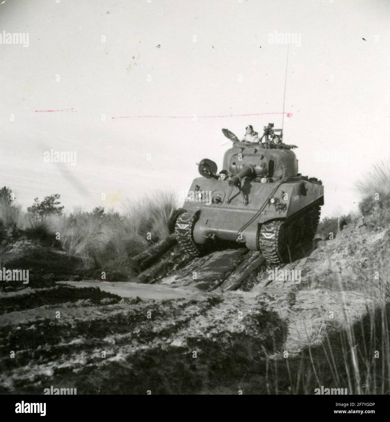 An M4A3 Sherman tank, armed with a 105 mm HOUWITSER, in the terrain. Stock Photo