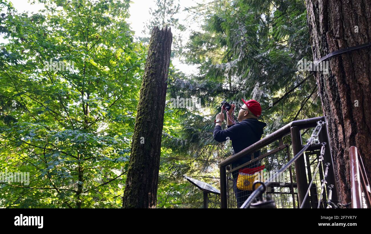 Tall Green Hat -  Canada