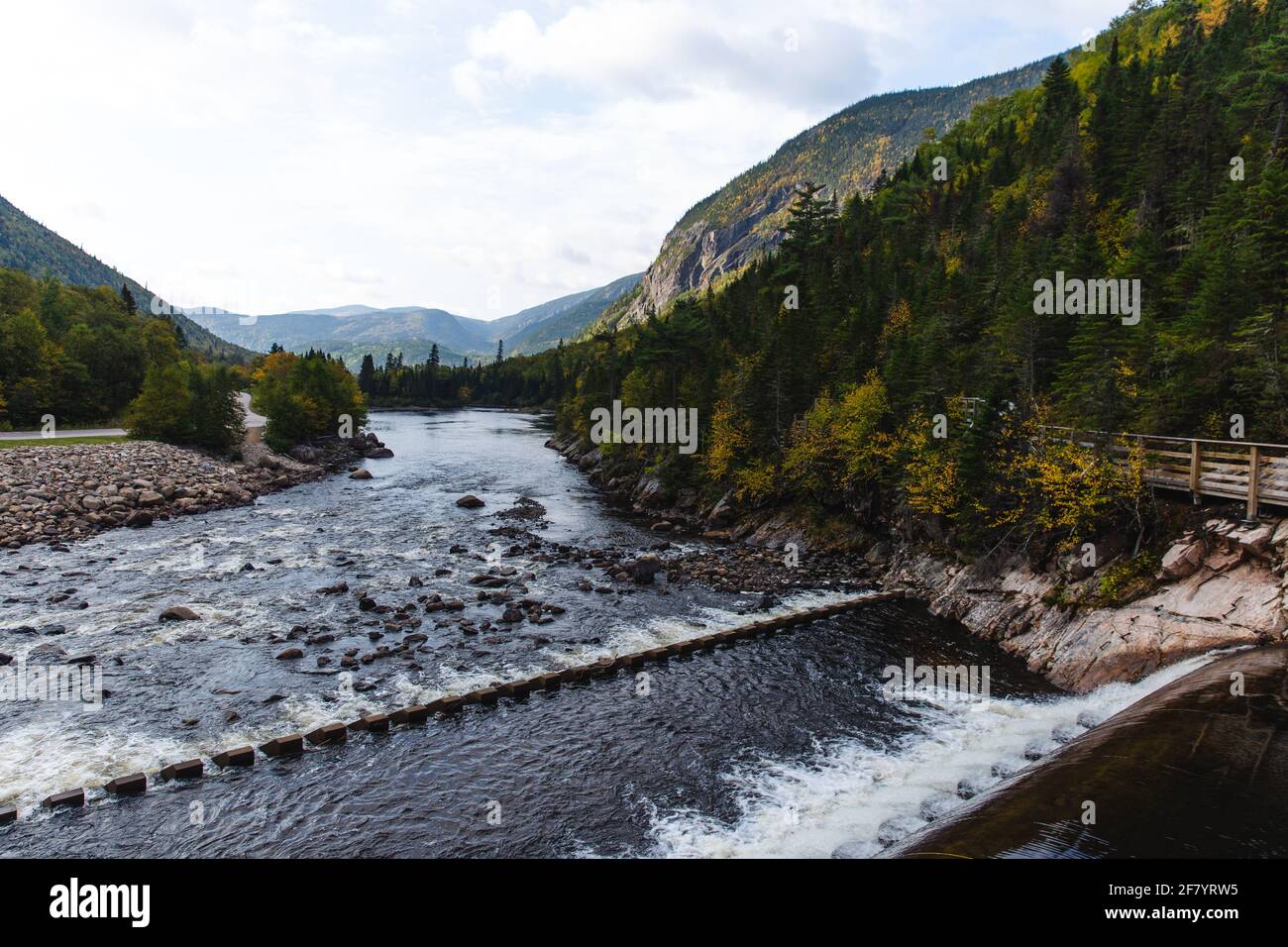 river in the middle of a valley surrounded by a forest and mountains in summer Stock Photo
