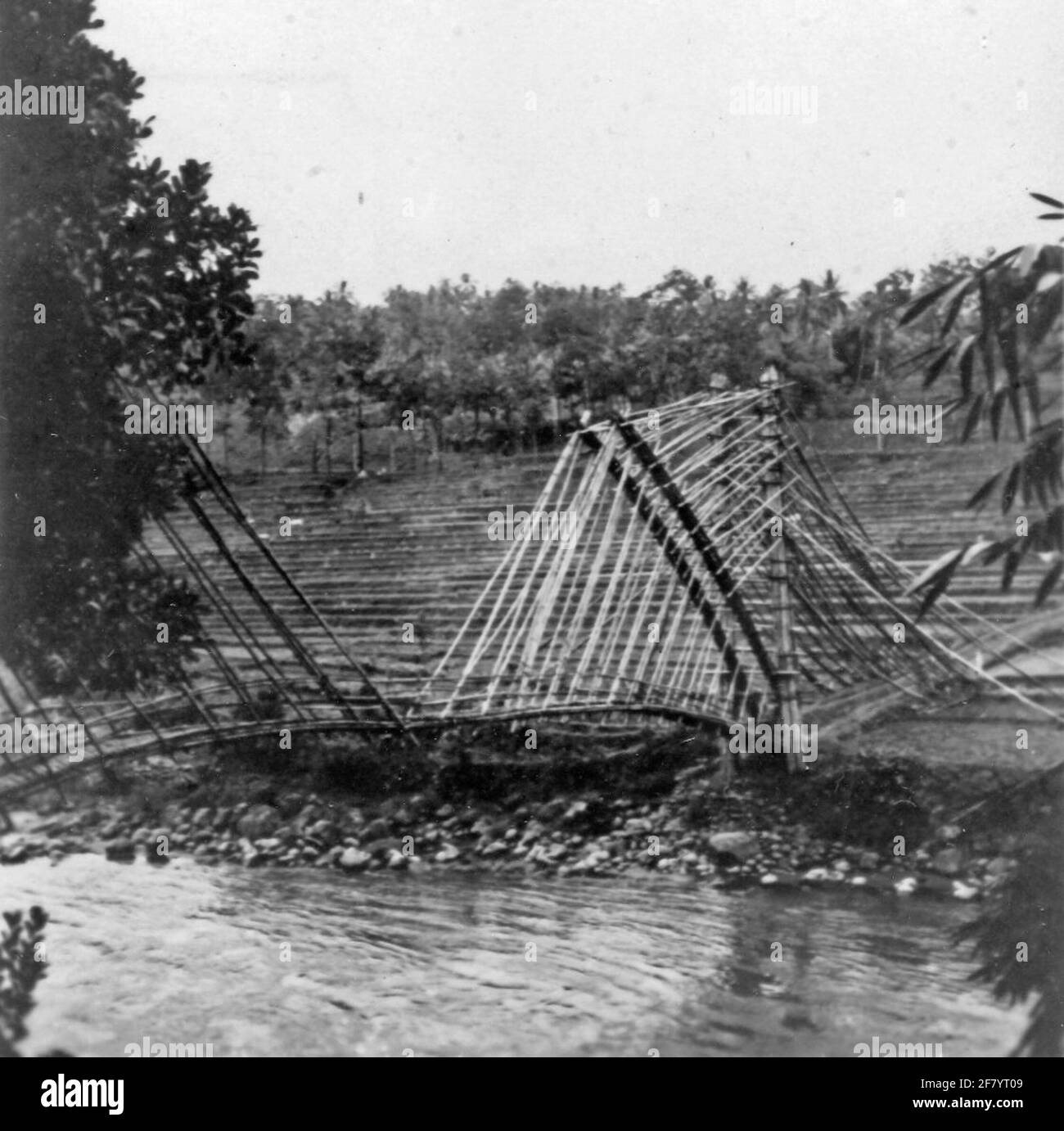 Bamboo bridge at the village of Prigi near Wonosobo on Central Java in
