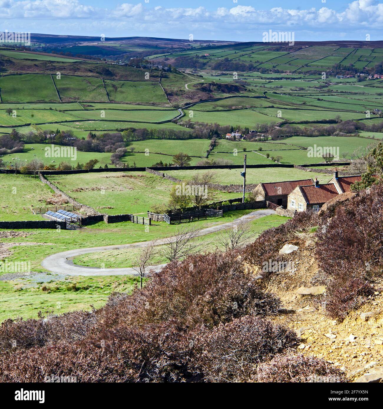 View over Glaisdale towards Denby on the North Yorkshire Moors Stock Photo