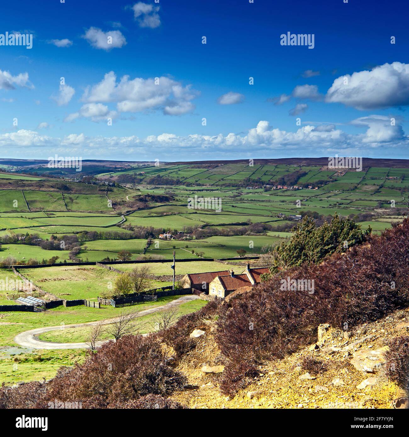 Glaisdale Valley towards Denby on the North Yorkshire Moors Stock Photo