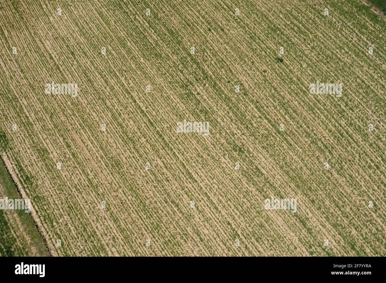 Agricultural field view, efficient farming of organic crops . Farmland ...
