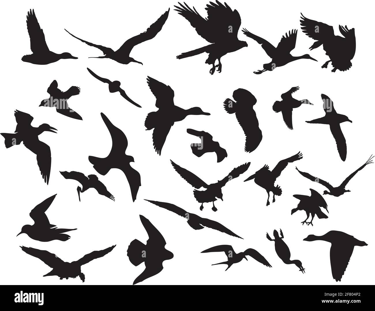 Vector illustrations black silhouettes birds on white Stock Vector