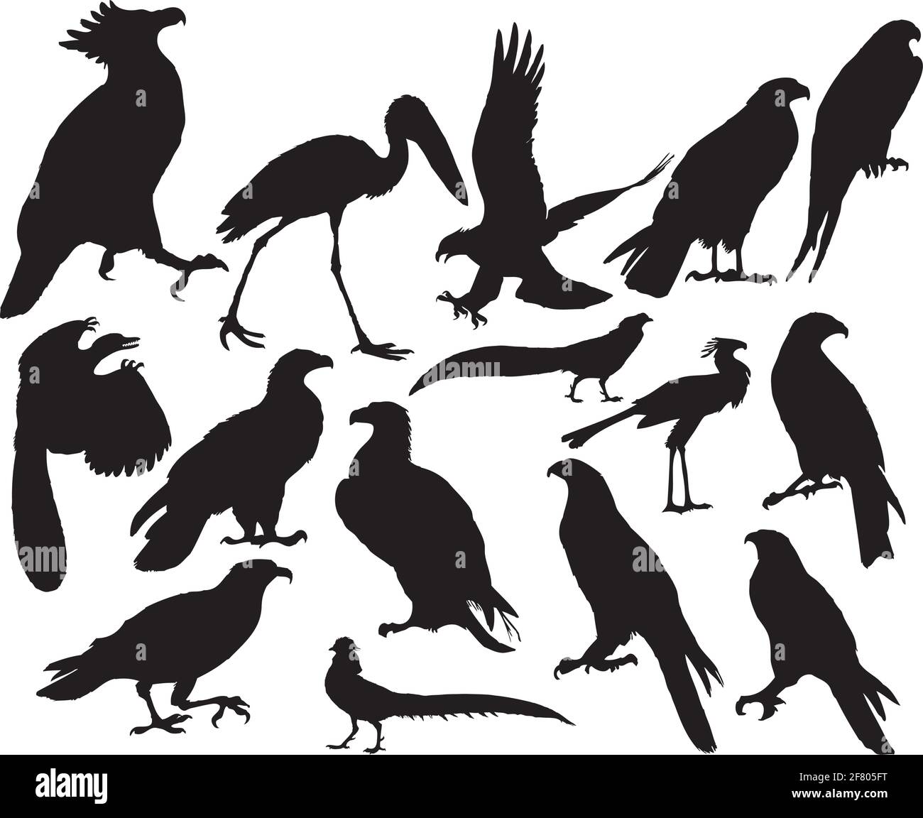 Vector illustrations black silhouettes birds on white Stock Vector