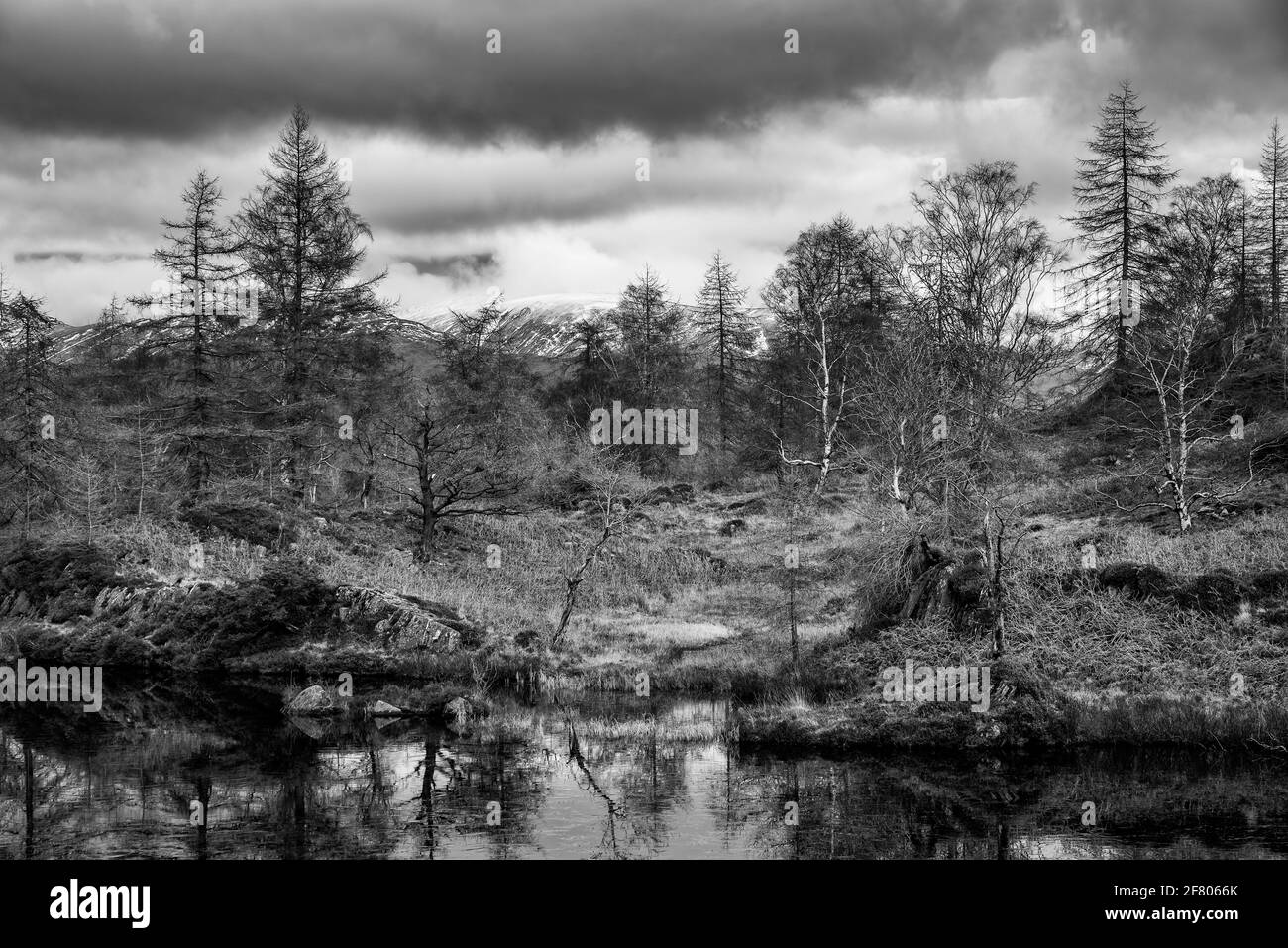 Epic Winter black and white landscape image view from Holme Fell in