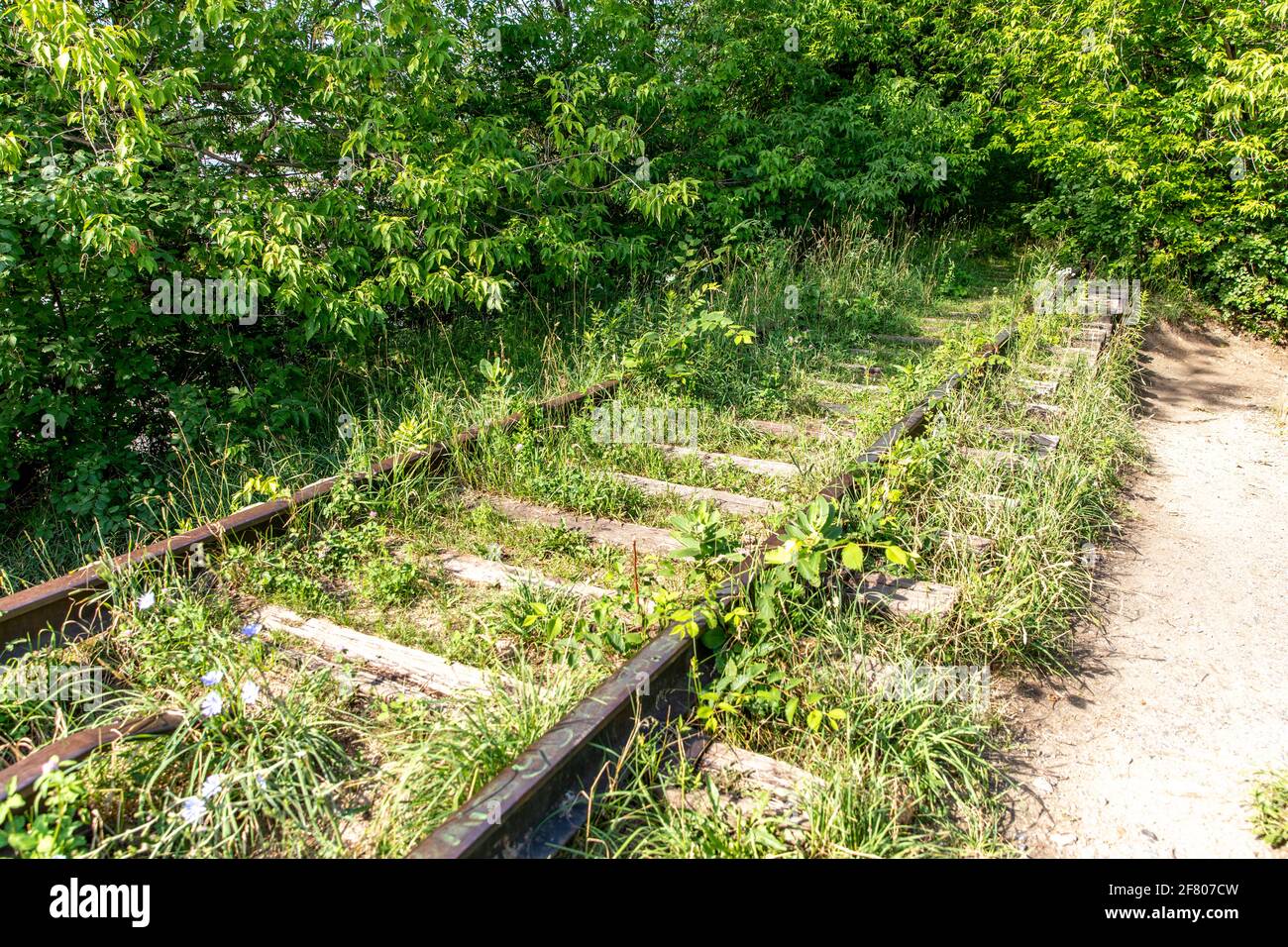 old rail road with nature taking over on a bright sunny day Stock Photo