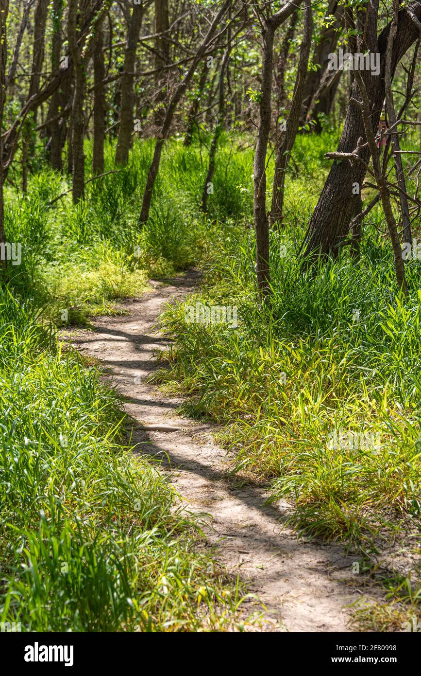 Jean-Pierre Choteau Nature Trail along the Neosho (Grand) River at Clinkenbeard Park in Fort Gibson, Oklahoma. (USA) Stock Photo