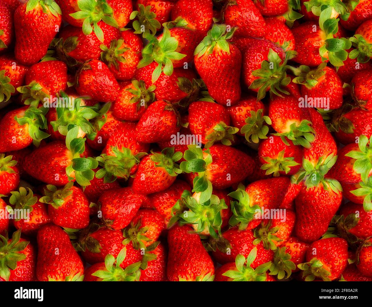 FOOD CONCEPT: Fresh strawberries  (lat: genus fragaria) Stock Photo