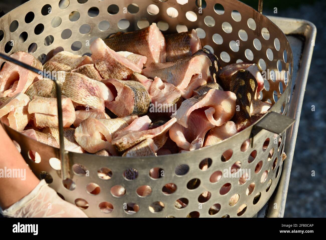 Traditional fish boil with whole chunks of fresh Lake Michigan whitefish to be dropped into boiling pot of water, Door County, Wisconsin, USA Stock Photo