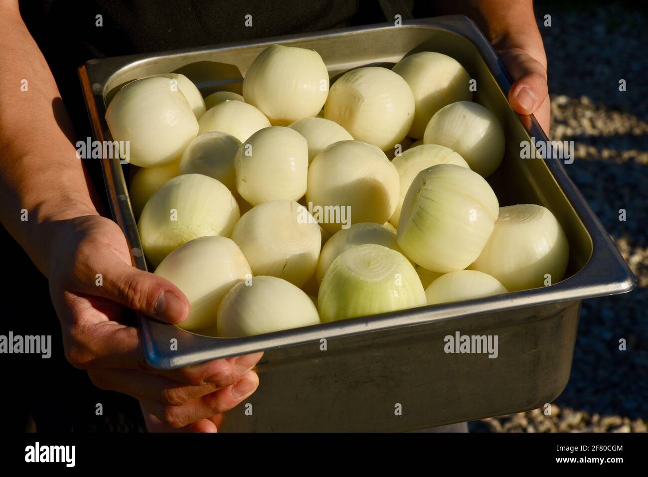 Boilmaster showing crowds of tourists and diners the fresh white onions to be put into pot for outdoor fish boil, Door County, Wisconsin, USA Stock Photo