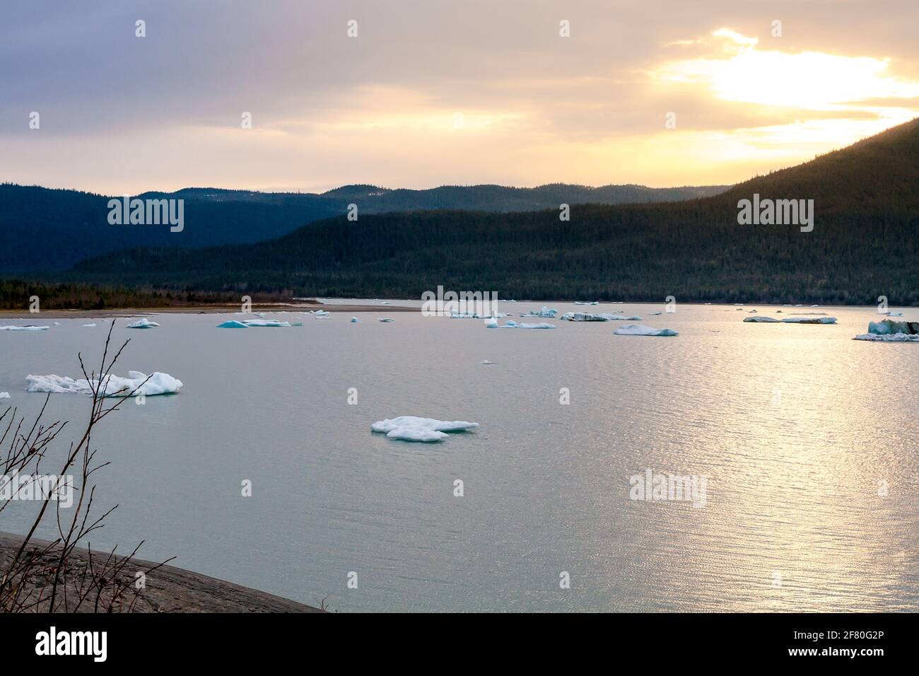 Small icebergs, also known as bergy bits and growlers, floating in Mendenhall Lake near Juneau