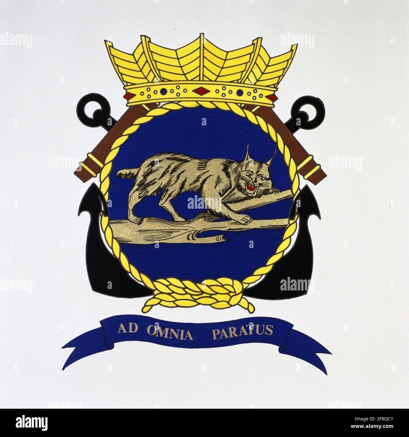 Paratus High Resolution Stock Photography And Images Alamy Paratus High Resolution Stock Photography And Images Alamy
