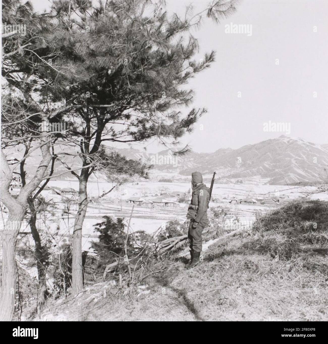 A Dutch soldier in Korea overlooks a hill. Tjot, P'Yong-Dong-Ni: Ned. SOLD on the tjot Stock Photo