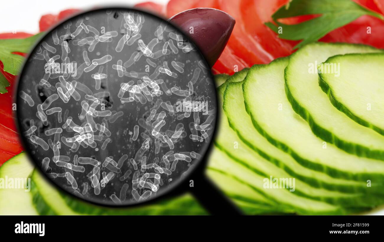 Searching for bacteria in vegetables Stock Photo Alamy