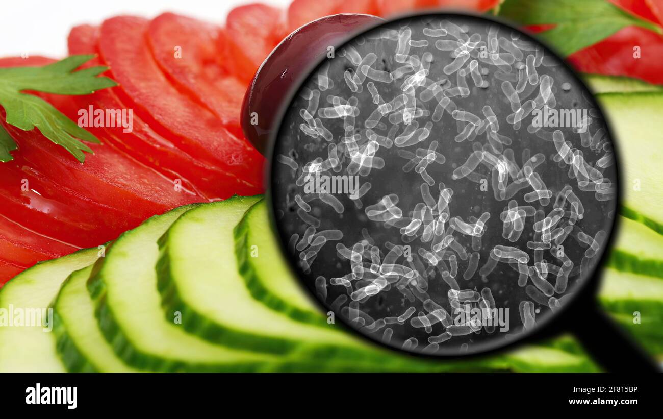 Searching for bacteria in vegetables Stock Photo Alamy