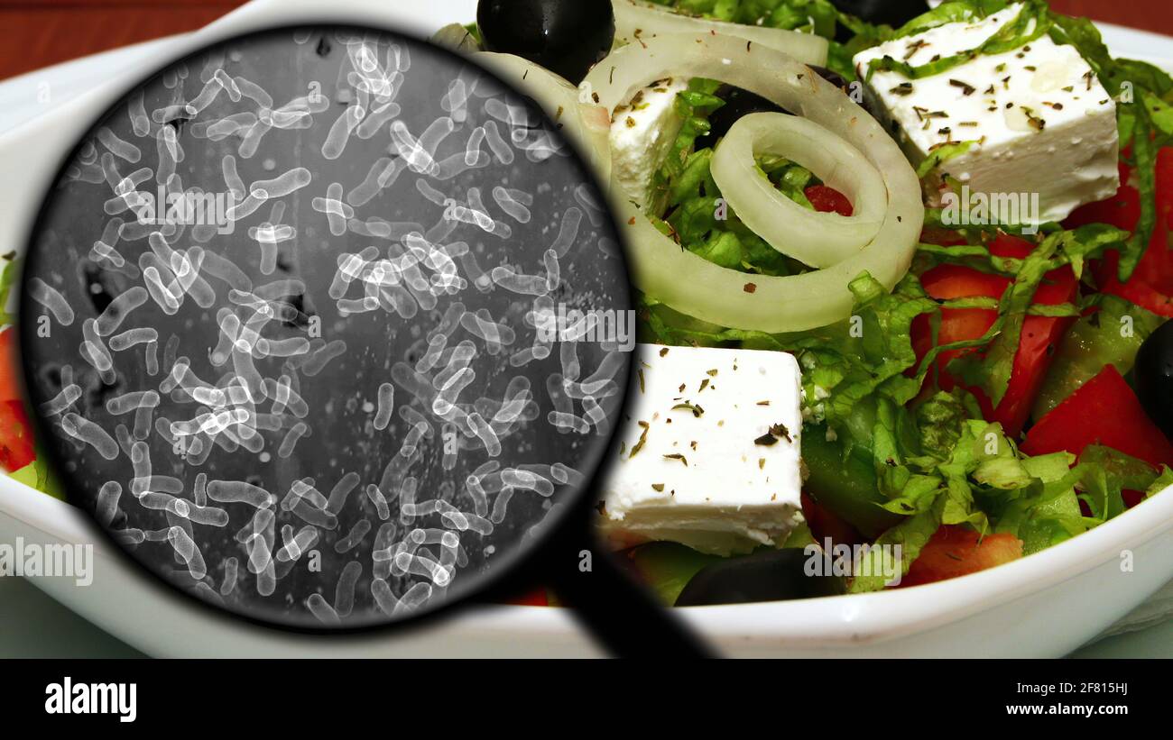 Searching for bacteria in vegetables Stock Photo Alamy