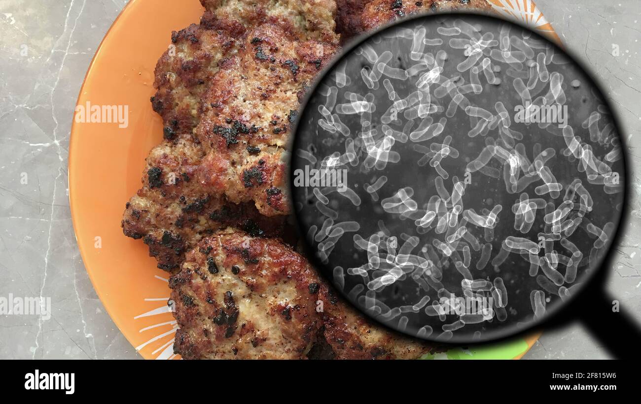 Searching for bacteria in meat Stock Photo Alamy