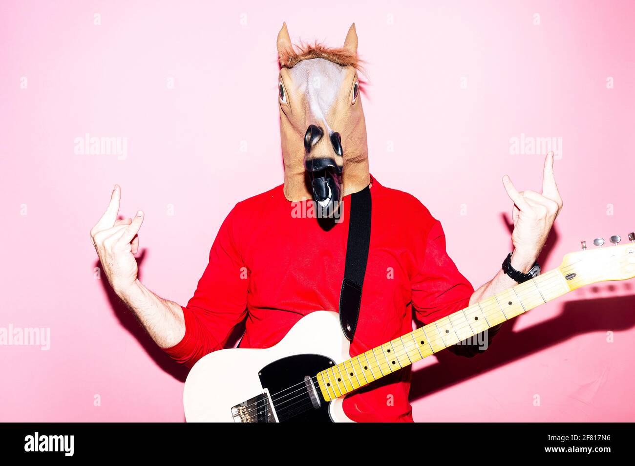 Man with horse mask playing electric guitar Stock Photo Alamy