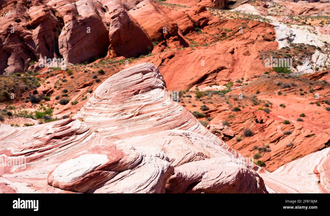 The fire wave in valley of Fire State Park in Nevada during summer with ...