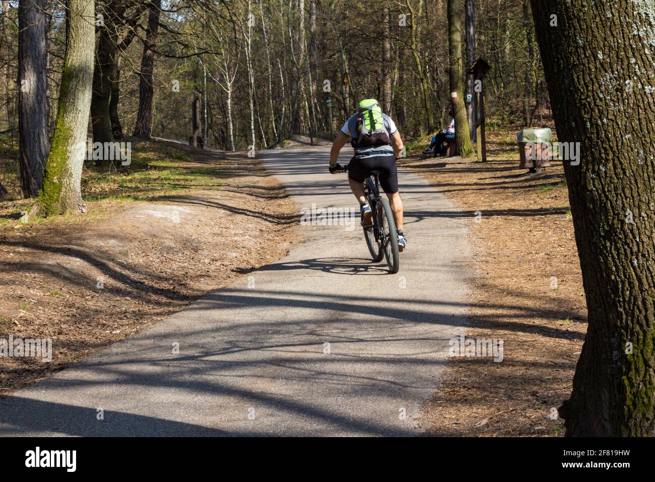 Young man cycling uphill on road to Karoly-magaslat, Soproni-hegyseg, Sopron, Hungary Stock Photo