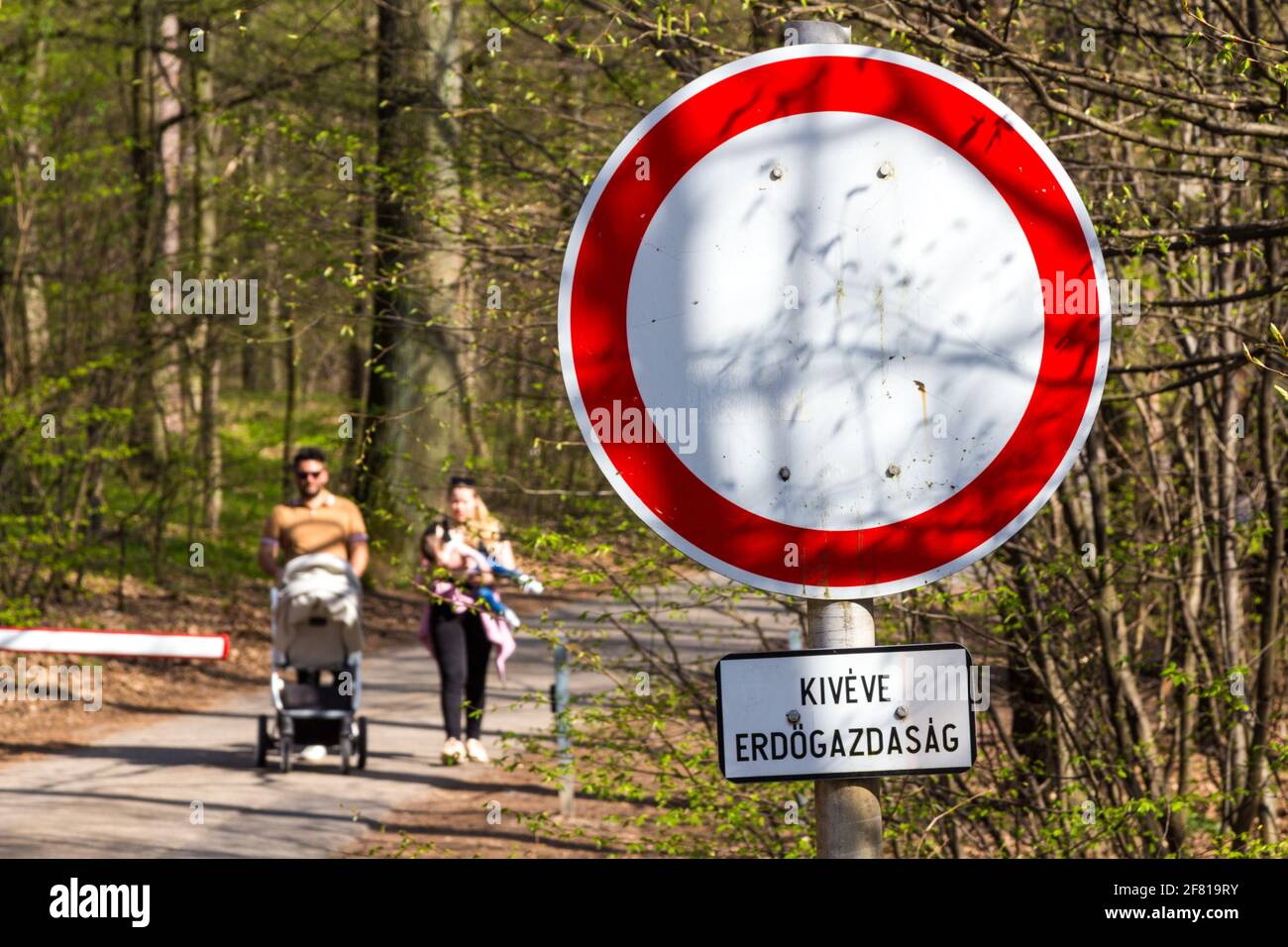 Traffic sign: no entry except forestry vehicles in forest of Sopron Mountains, Sopron, Hungary Stock Photo