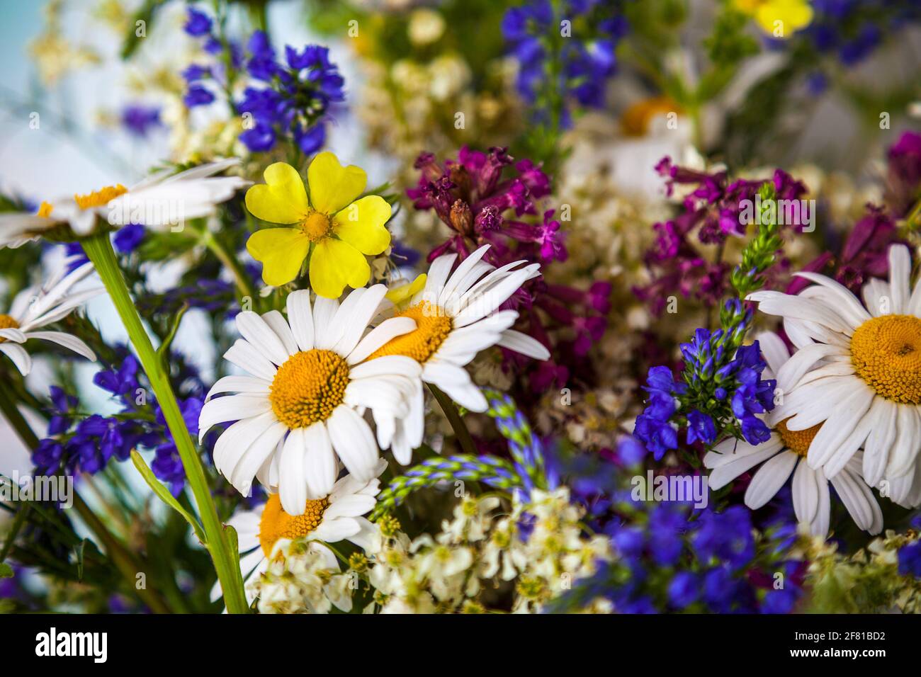 Uk wildflowers bouquet hi-res stock photography and images - Alamy