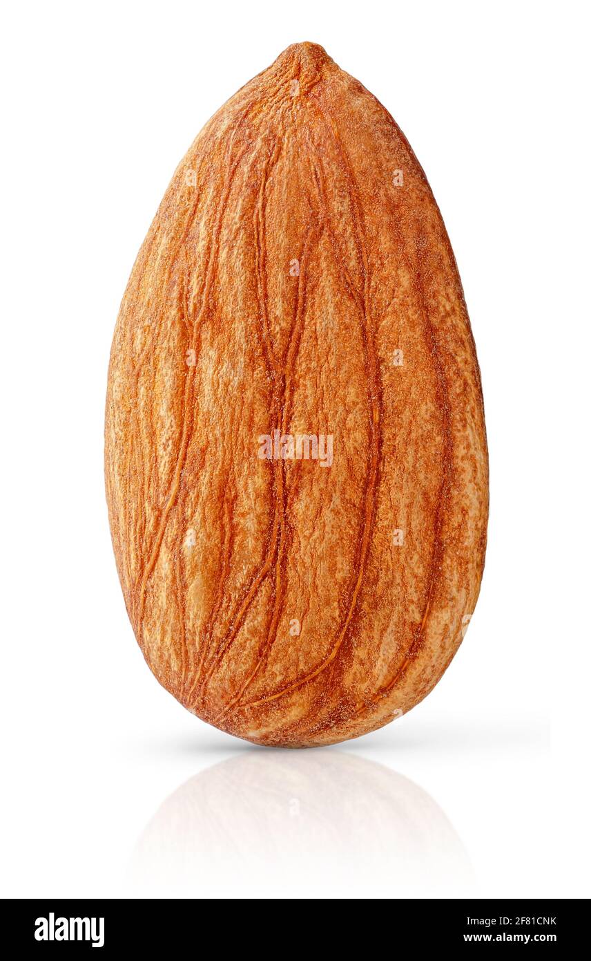 Isolated single almond nut isolated with clipping path. Stock Photo