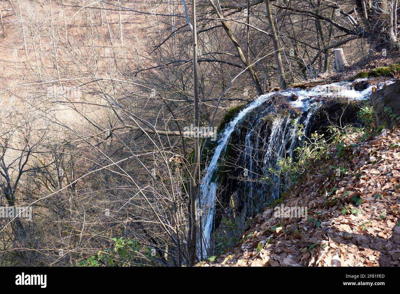 Shot of a small waterfall in a forest mountain Stock Photo - Alamy
