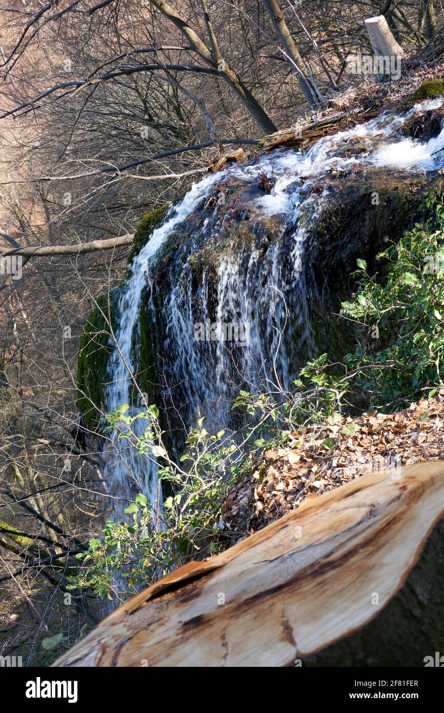 Vertical shot of a small waterfall in a forest mountain Stock Photo - Alamy