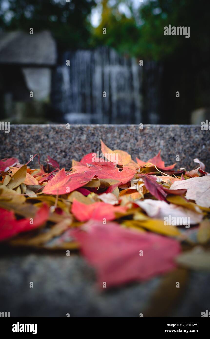 Autumn foliage at the Franklin Delano Roosevelt Memorial along the Tidal Basin in Washington DC. Stock Photo