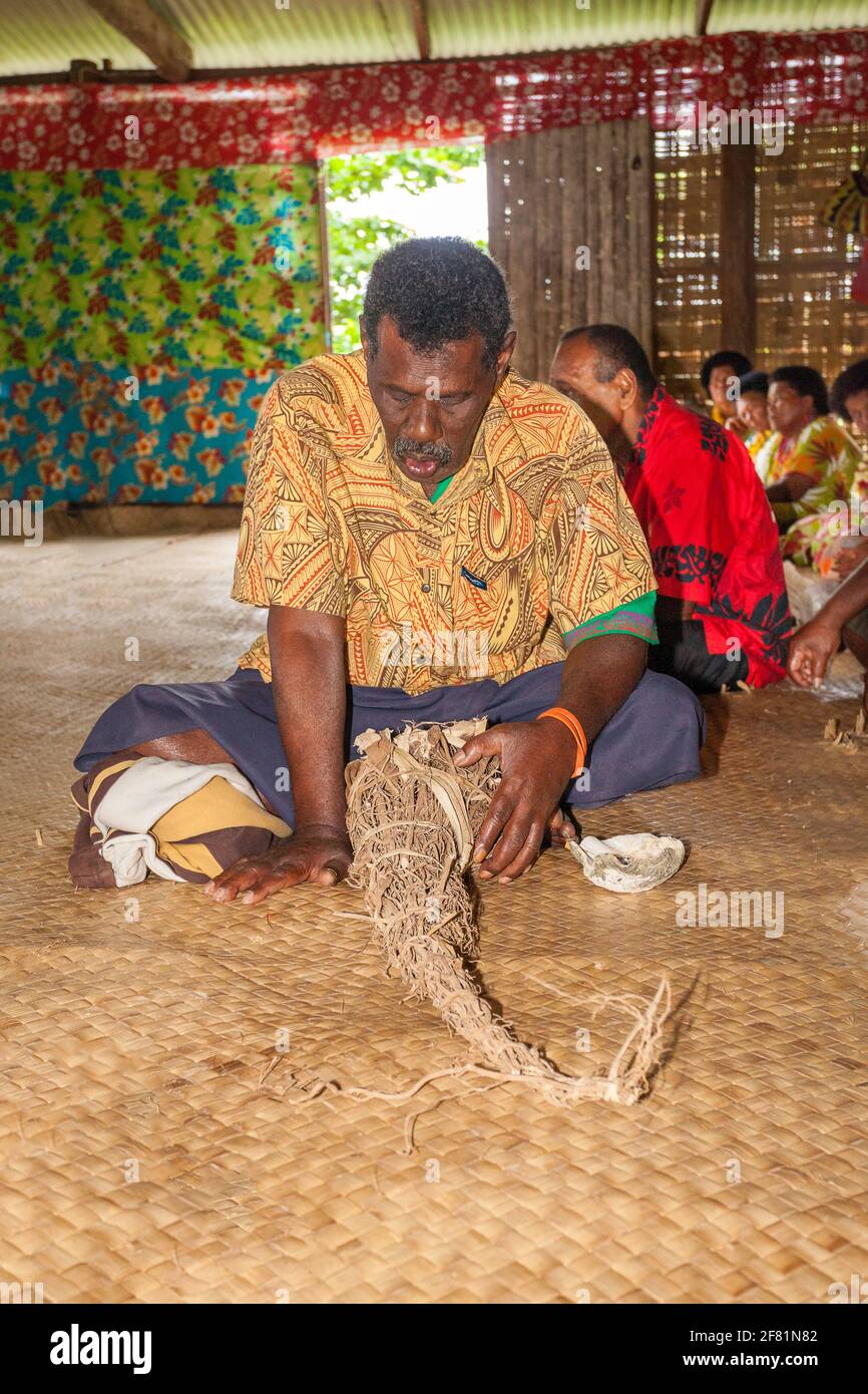 A local Fijian with the root to prepare kava, a traditional drink, at a ceremony in a small island village in Fiji. Stock Photo