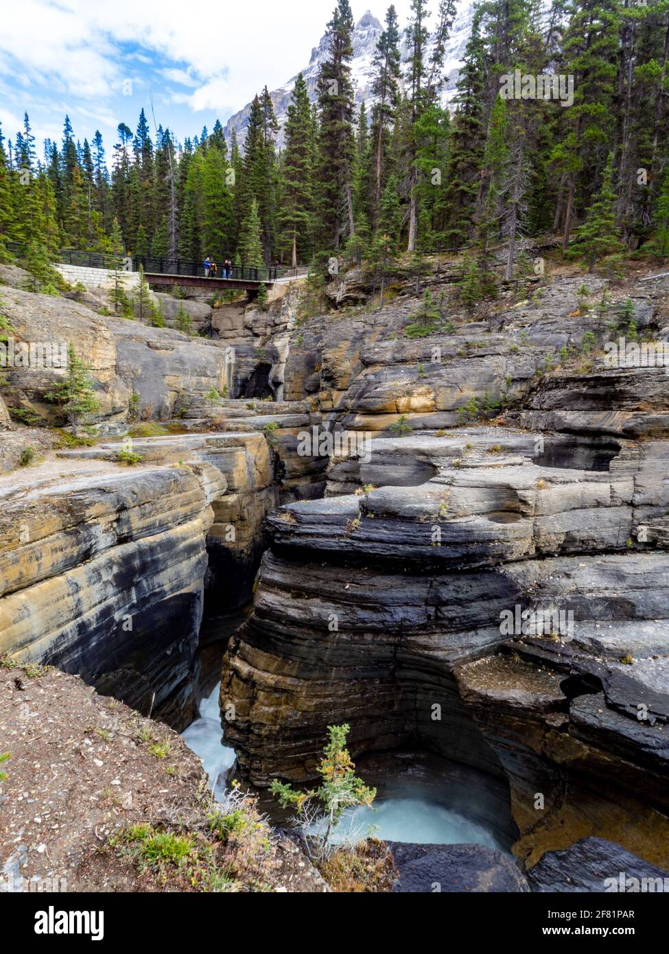 water forging its way in the rocks in the wilderness in summer with ...