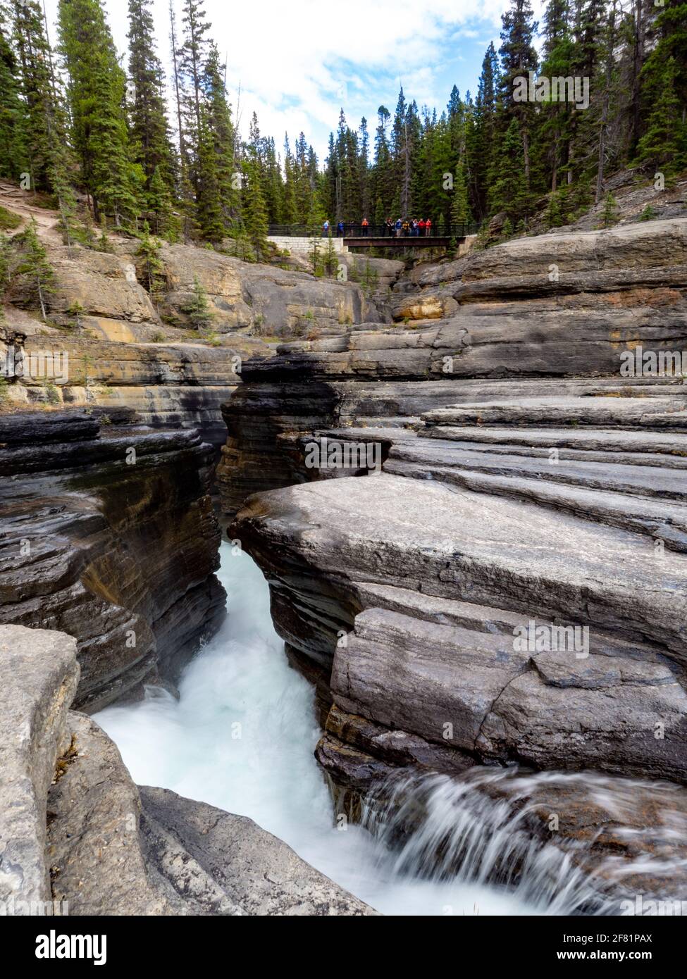 water forging its way in the rocks in the wilderness in summer Stock ...