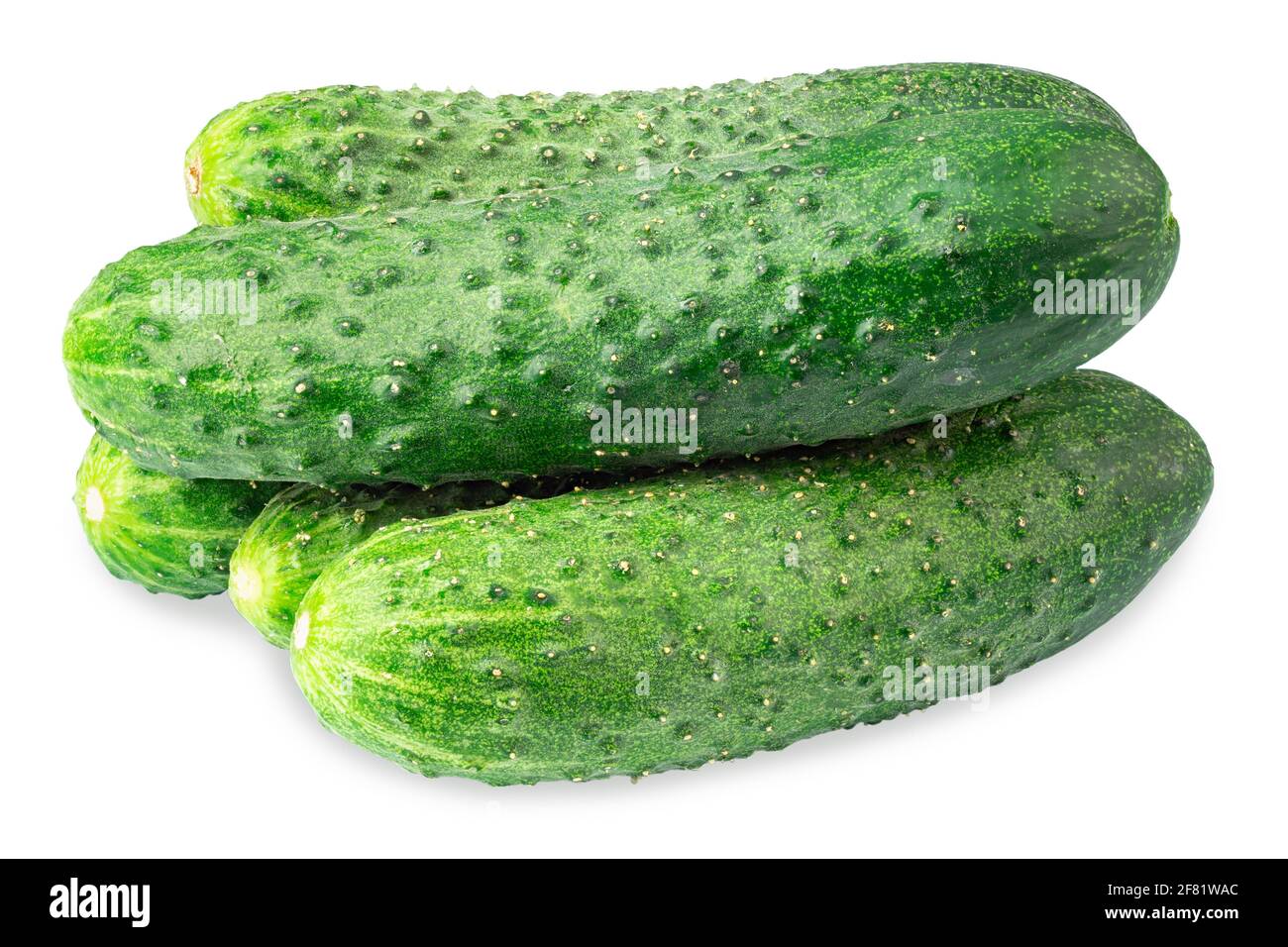 Several cucumber isolated on white background,  Full depth of field. The concept of veganism and wholesome food. Fresh vegetables. Stock Photo