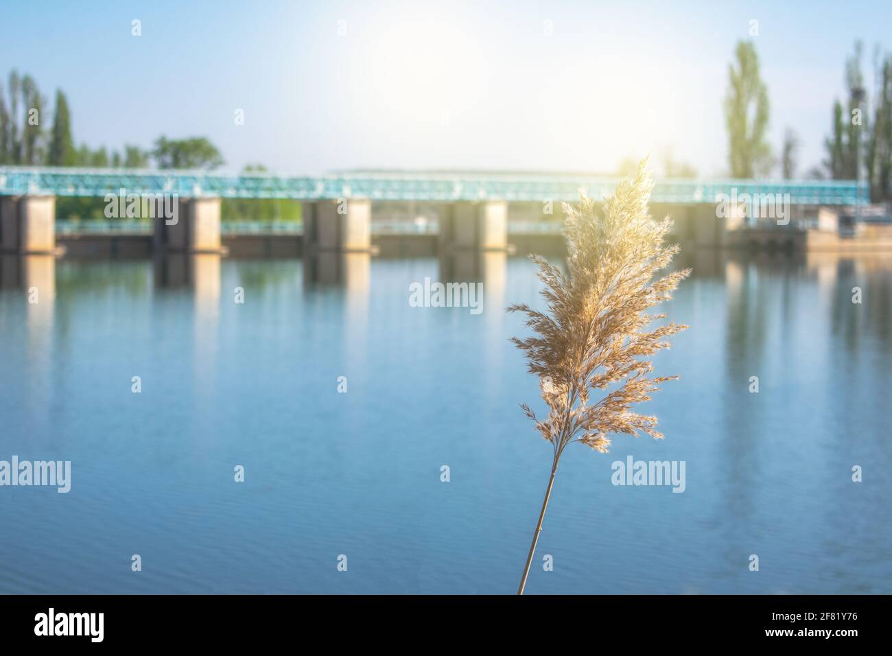 A Beautiful View Of Duero River Surrounded By Greenery And A Pier In a-beautiful-view-of-duero-river-surrounded-by-greenery-and-a-pier-in