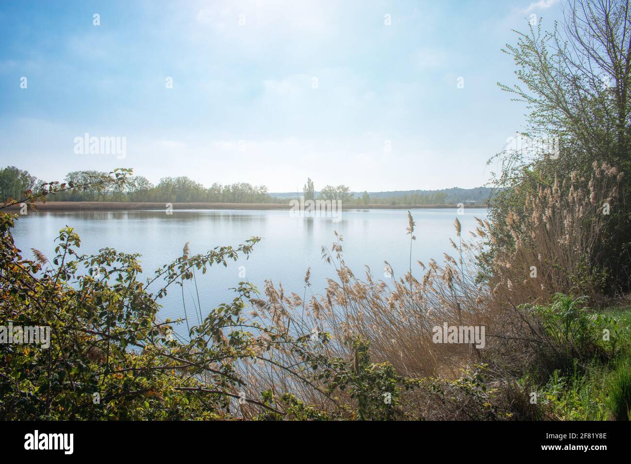 A Beautiful View Of Duero River Surrounded By Greenery In Castronuno a-beautiful-view-of-duero-river-surrounded-by-greenery-in-castronuno