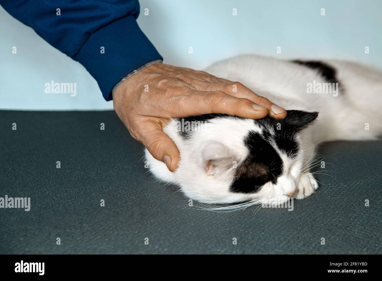 Page 2 - Surface Pat High Resolution Stock Photography and Images