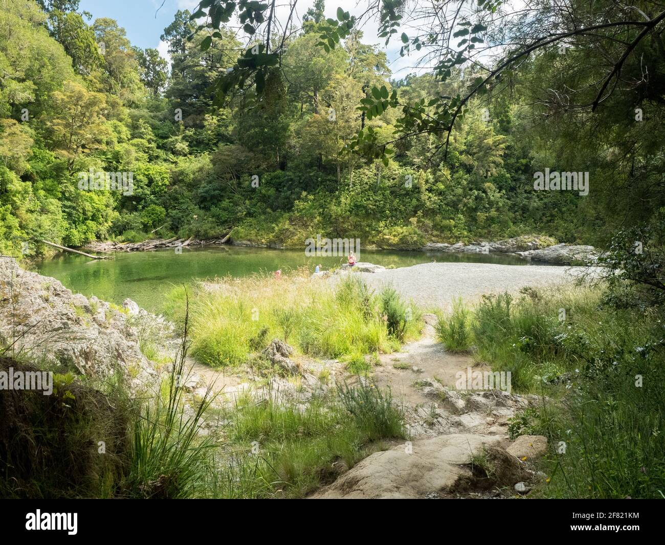 Pelorus bridge swimming hole on the road from nelson to picton is new zealands south island Stock Photo
