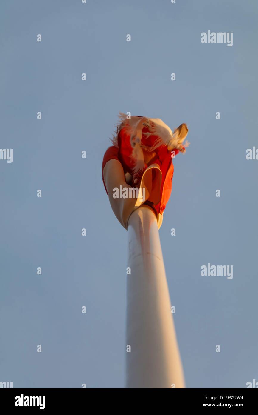 Threadbare Flag Threadbare flags hi-res stock photography and images - Alamy