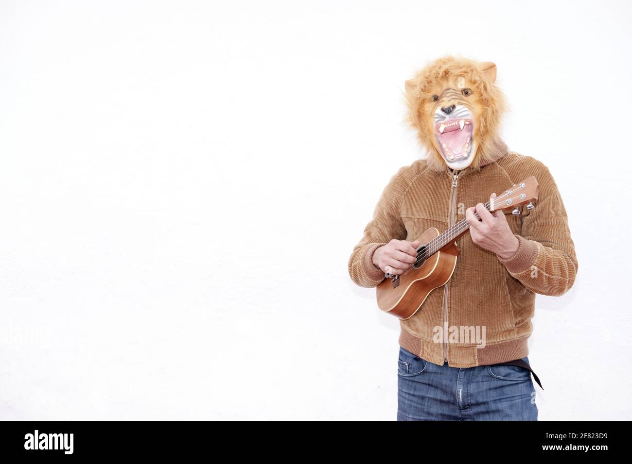 A man with a roaring lion full mask playing ukulele isolated on white background Stock Photo