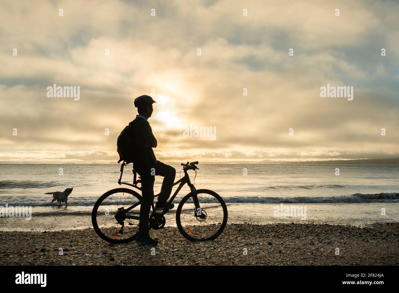 Silhouette image of a cyclist on the bicycle watching the sunrise and dog playing in the water at Milford beach, Auckland Stock Photo