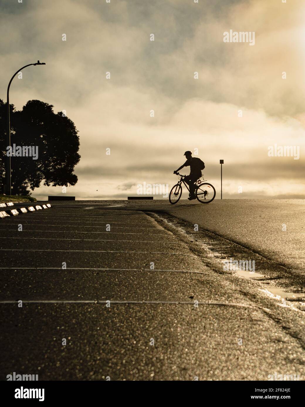 Silhouette image of a cyclist riding on the road at Milford beach, Auckland. Vertical format. Stock Photo