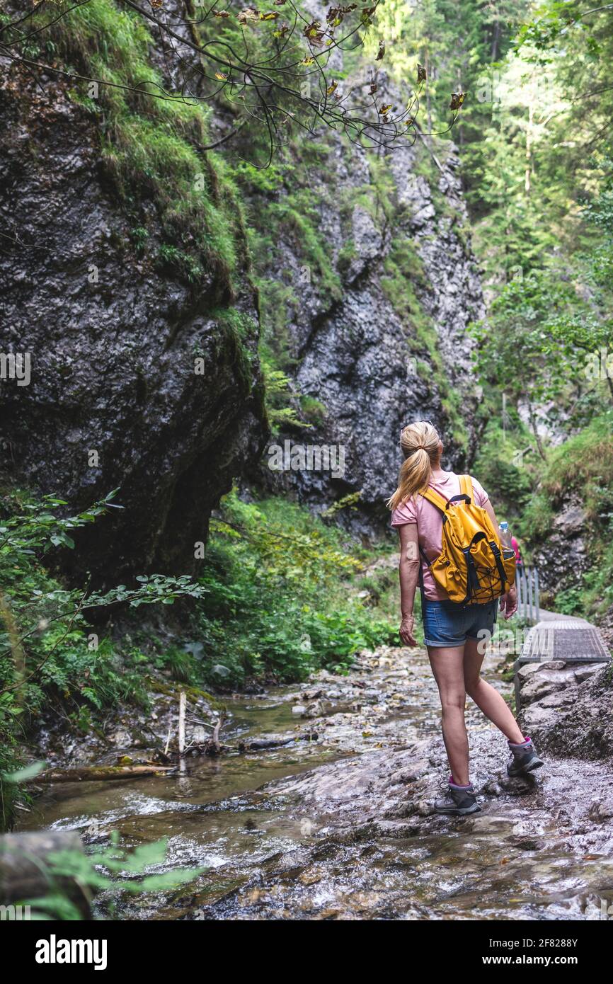 Tourist hiking in mountain trail. Woman with backpack is walking at ...