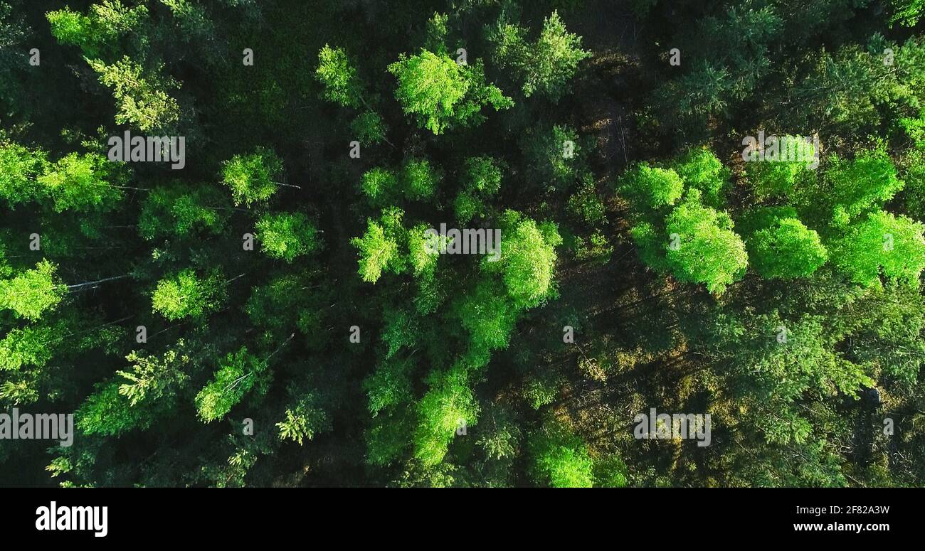 Aerial top down shot dirt hi-res stock photography and images - Alamy