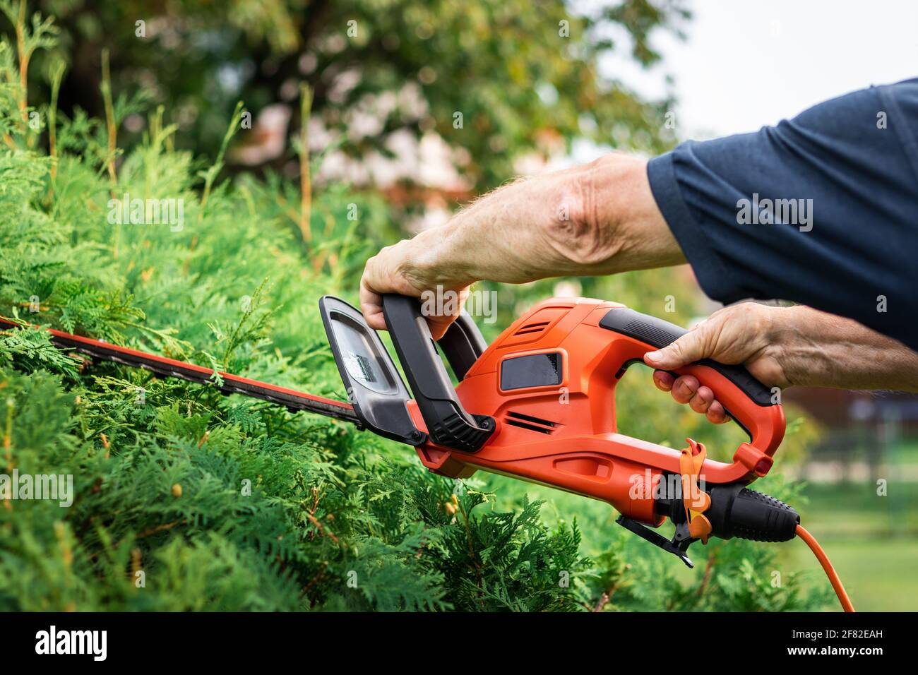 Electric pruning shears hi res stock photography and images Alamy