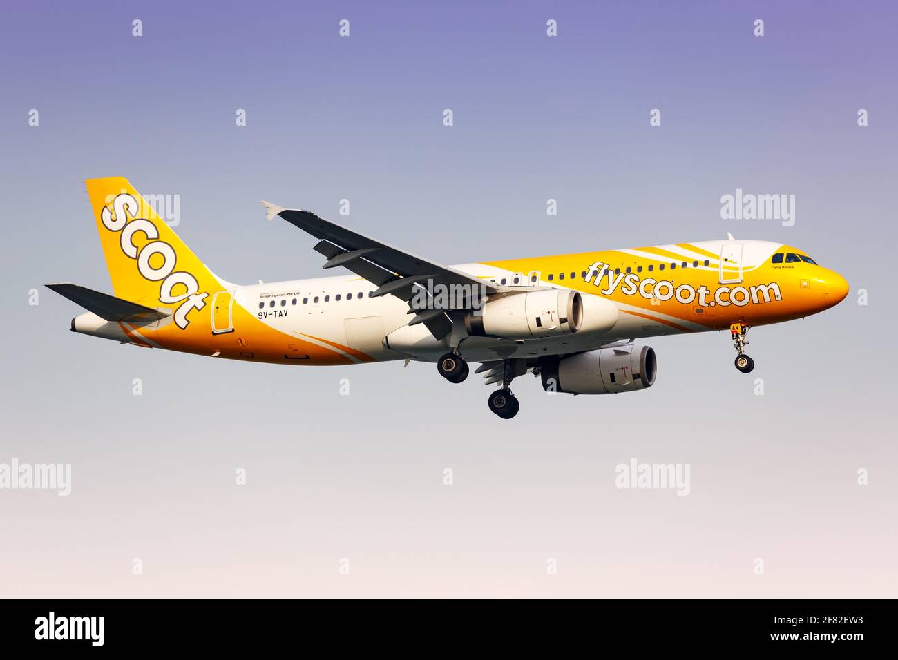 Changi, Singapore – January 29, 2018: Scoot Airbus A320 airplane at Changi airport (SIN) in Singapore. Airbus is a European aircraft manufacturer base Stock Photo