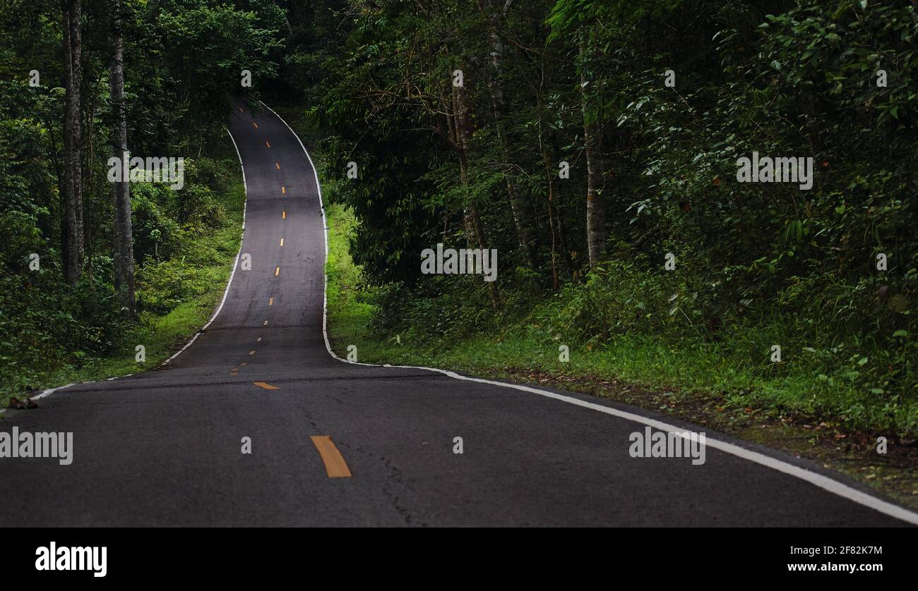 The way forward road marking hi-res stock photography and images - Alamy